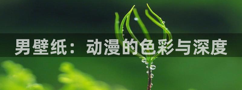 布丁动漫入口